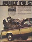 1980 Chevrolet Pickups-02